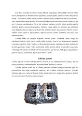 Alkūninis - švaistiklinis mechanizmas 5 puslapis