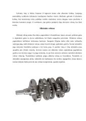 Alkūninis - švaistiklinis mechanizmas 6 puslapis