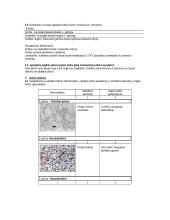 Atkaitinto anglinio plieno mikrostruktūros tyrimas 2 puslapis