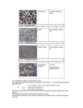 Atkaitinto anglinio plieno mikrostruktūros tyrimas 3 puslapis