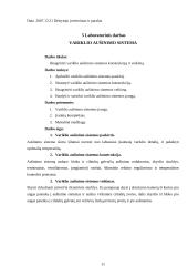 Automobilių įrangos ataskaitos 11 puslapis