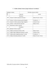 Automobilių įrangos ataskaitos 12 puslapis