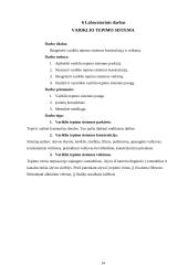 Automobilių įrangos ataskaitos 14 puslapis