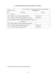 Automobilių įrangos ataskaitos 15 puslapis