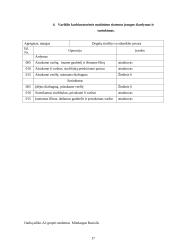 Automobilių įrangos ataskaitos 17 puslapis