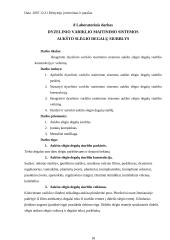 Automobilių įrangos ataskaitos 18 puslapis