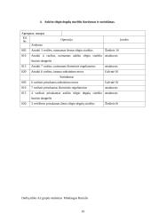 Automobilių įrangos ataskaitos 19 puslapis