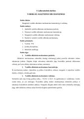 Automobilių įrangos ataskaitos 3 puslapis