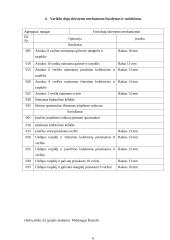 Automobilių įrangos ataskaitos 6 puslapis