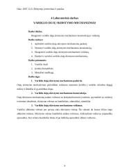 Automobilių įrangos ataskaitos 9 puslapis