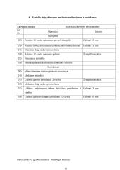 Automobilių įrangos ataskaitos 10 puslapis