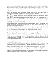 Bangų sklidimo režimų tyrimas 9 puslapis