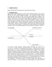 Briusterio kampo nustatymas ir Maliu dėsnio tyrimas bei tyrimo ataskaita 2 puslapis