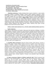 Chloridų kiekio nustatymas argentometrijos (moro) metodu 4 puslapis