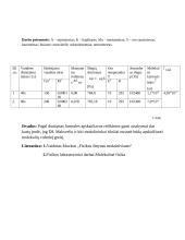 Dujų molekulių vidutinio laisvojo lėkio matavimas 4 puslapis