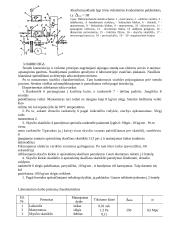 Eksperimentinis tūrinių hidromašinų charakteristikų nustatymas 6 puslapis