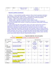 Lietuvos Internet svetainės, paieškos sistemos, akademiniai serveriai, portalai 2 puslapis