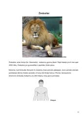 Stuburiniai gyvūnai 12 puslapis