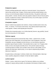 Stuburiniai gyvūnai 14 puslapis