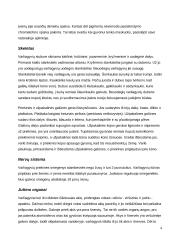 Stuburiniai gyvūnai 4 puslapis