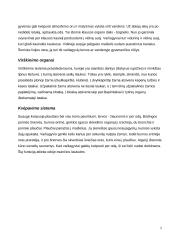 Stuburiniai gyvūnai 5 puslapis