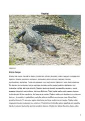 Stuburiniai gyvūnai 6 puslapis