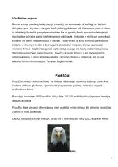 Stuburiniai gyvūnai 7 puslapis