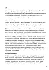 Stuburiniai gyvūnai 8 puslapis