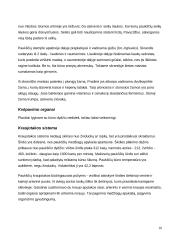 Stuburiniai gyvūnai 10 puslapis