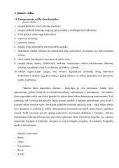 Įmonės personalo valdymas: naktinis klubas 3 puslapis