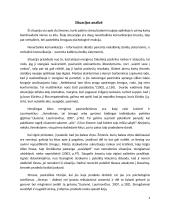 Bendravimo situacijos teorinė analizė 3 puslapis