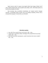 Bendravimo situacijos teorinė analizė 4 puslapis