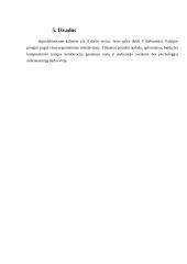 Biuro darbo vietos išplanavimas ir  apšvietimo sistemos parinkimas 14 puslapis