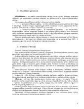 Darbo kabineto įrengimas, projektuojant kompiuterizuotas darbo vietas 4 puslapis
