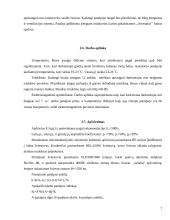 Kompiuterizuoto darbo kabineto įrengimas 7 puslapis