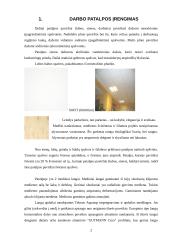 Darbo patalpos įrengimas 2 puslapis
