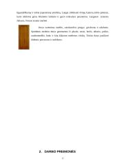Darbo patalpos įrengimas 3 puslapis