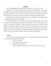 Darbo patalpų ir darbo vietos įrengimas 3 puslapis