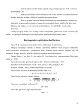 Darbo patalpų ir darbo vietos įrengimas 10 puslapis