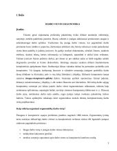 Ergonomiškos darbo vietos planavimas 2 puslapis