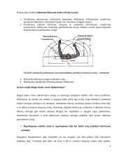 Ergonomiškos darbo vietos planavimas 5 puslapis