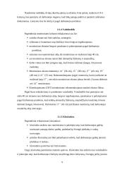 Ergonomiška darbo vieta biure 6 puslapis