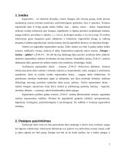 Sistemos „Ž-M-A“ efektyvumo didinimas 3 puslapis