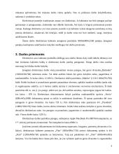 Sistemos „Ž-M-A“ efektyvumo didinimas 4 puslapis
