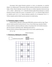 Sistemos „Ž-M-A“ efektyvumo didinimas 6 puslapis