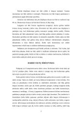 Biuro su kompiuterizuotomis vietomis įrengimas 2 puslapis