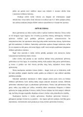 Biuro su kompiuterizuotomis vietomis įrengimas 3 puslapis