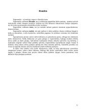 Ergonomika: įmonės vadovo darbo vietos projektavimas 11 puslapis