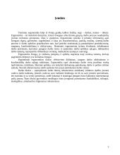 Ergonomika: įmonės vadovo darbo vietos projektavimas 3 puslapis