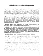 Ergonomika: įmonės vadovo darbo vietos projektavimas 4 puslapis